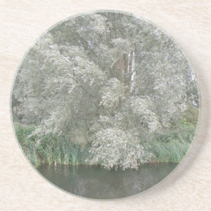 Witte boom en rivier landschap onderzetters
