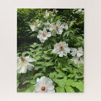 Witte boom pioenroos, Seoul Legpuzzel