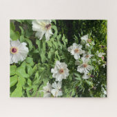 Witte boom pioenroos, Seoul Legpuzzel (Horizontaal)