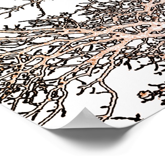 Witte boom poster (Hoek)