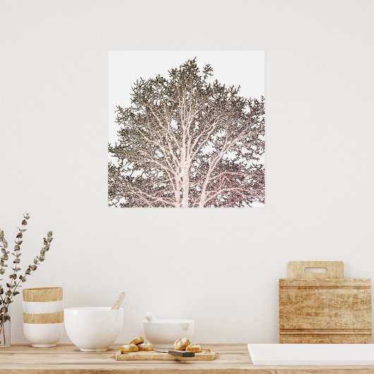 Witte boom poster (Keuken)