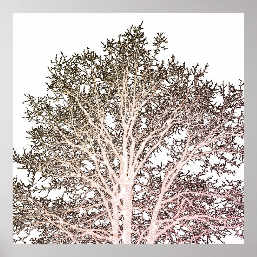 Witte boom poster (Voorkant)