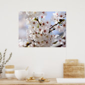 Witte boombloesem in lente poster (Keuken)