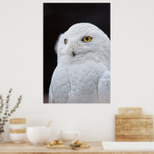 Witte boomgaard poster (Keuken)