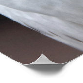 Witte boomgaard poster (Hoek)