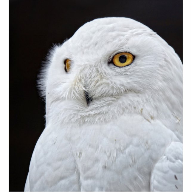 Witte boomgaard staand fotobeeldje  (Voorkant)