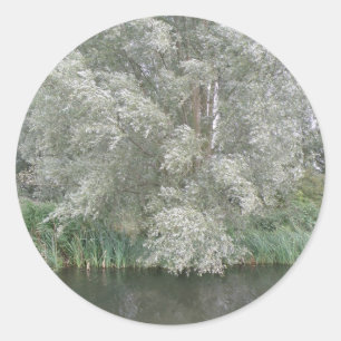 Witte boomgaarden en rivierlandschapsscheurtjes ronde sticker