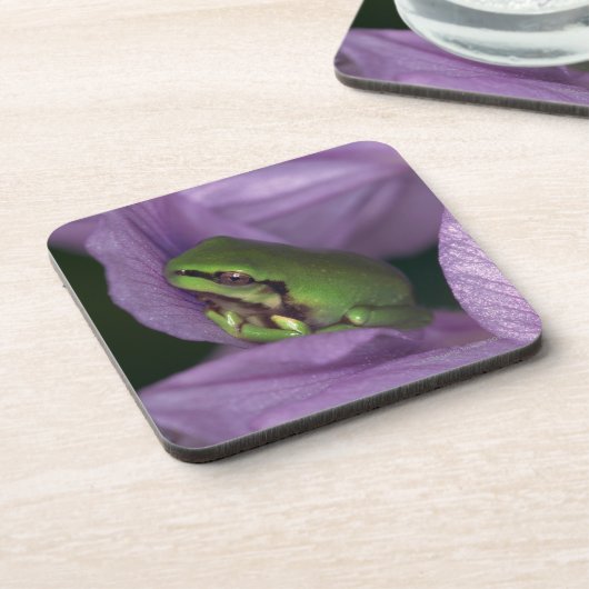 Witte boomkikker bier onderzetter (Linkerzijde)