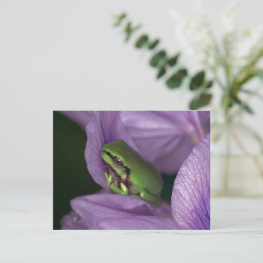 Witte boomkikker briefkaart (Staand voorkant)