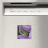 Witte boomkikker magneet (Insitu (Vaatwasser))