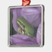 Witte boomkikker metalen ornament (Links)