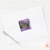 Witte boomkikker vierkante sticker (Envelop)