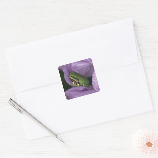 Witte boomkikker vierkante sticker (Envelop)