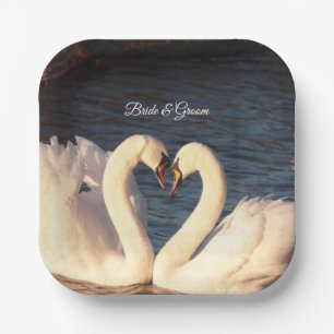 Witte Bord van swans-papier