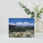 Witte boreaspas, Breckenridge bloemen Briefkaart (Staand voorkant)