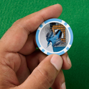 Witte-borst Nuthatch in Sneeuw Poker Chips