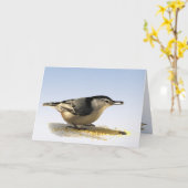 Witte borst Nuthatch Vriendschap Kaart (Gele Bloem)