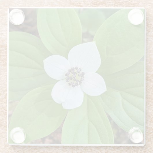 Witte bosbessen hondenbloesem bloemen glazen onderzetter (Achterkant)