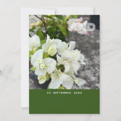 witte bougainvillea of paperflower wit als sneeuw kaart (Voorkant)