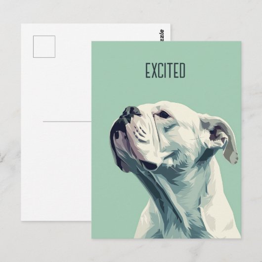 Witte boxer briefkaart (Voorkant / Achterkant)