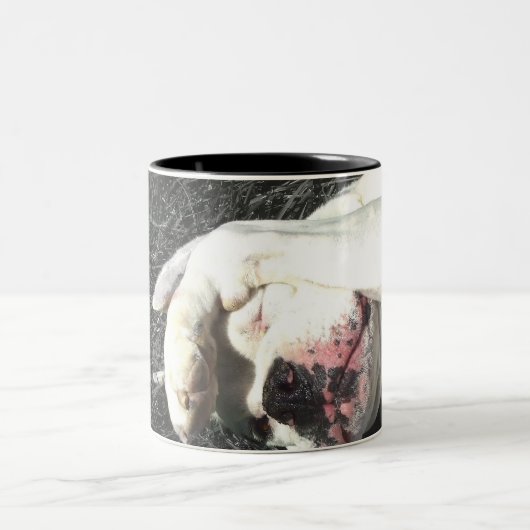 Witte boxer mok (Center)