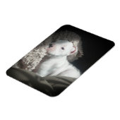 witte boxer puppy magneet (Linkerzijde)