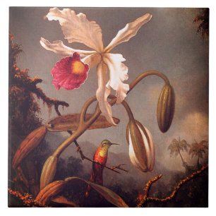 Witte Braziliaanse orchidee Tegeltje