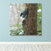 Witte Breasted Nuthatch (Forest) Canvas Print (Insitu (Houten vloer))