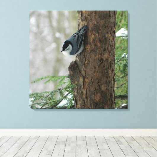 Witte Breasted Nuthatch (Forest) Canvas Print (Insitu (Houten vloer))