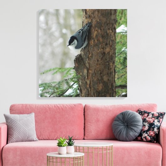 Witte Breasted Nuthatch (Forest) Canvas Print (Insitu (Woonkamer))