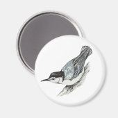 Witte Breasted Nuthatch Magnet (Voorkant / Achterkant)