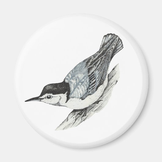 Witte Breasted Nuthatch Magnet (Voorkant)