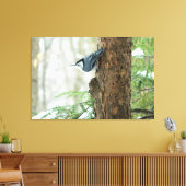 Witte Breasted Nuthatch Stretched Canvas Print (Insitu (Woonkamer))