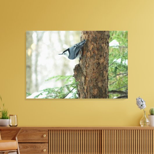 Witte Breasted Nuthatch Stretched Canvas Print (Insitu (Woonkamer))