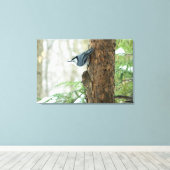 Witte Breasted Nuthatch Stretched Canvas Print (Insitu (Houten vloer))