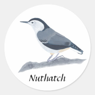 Witte Breasted Nuthatch Vogelschilderij Stickers