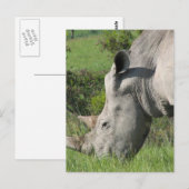 Witte Briefkaart (Voorkant / Achterkant)