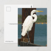 Witte Briefkaart (Voorkant / Achterkant)