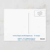 WITTE BRIEFKAART 2 (Achterkant)