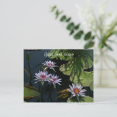 Witte Briefkaart Lotus Waterlilies (Staand voorkant)