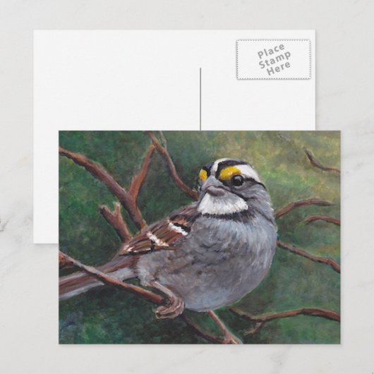 Witte Briefkaart met dunne ruggengraat (Voorkant / Achterkant)