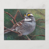 Witte Briefkaart met dunne ruggengraat (Voorkant)