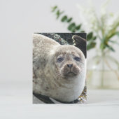 Witte Briefkaart van luipaard (Staand voorkant)