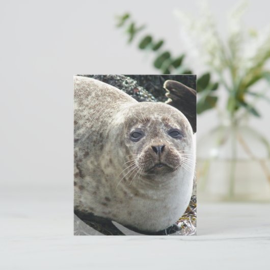 Witte Briefkaart van luipaard (Staand voorkant)