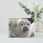 Witte Briefkaart van luipaard (Staand voorkant)