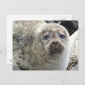 Witte Briefkaart van luipaard (Voorkant / Achterkant)