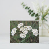 Witte Briefkaart van wilde bloemen (Staand voorkant)