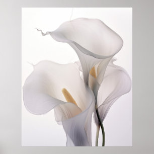 Witte bruiloft Calla Lily witte achtergrond Poster