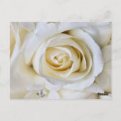 Witte bruiloft Rozen Receptie Tafel Aantal Kaarten (Achterkant)