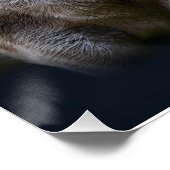 Witte buffel met Amerikaanse vlag en bliksem Perfect Poster (Hoek)